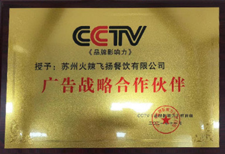 CCTV 广告战略合作伙伴